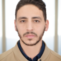 Nasser ElHammoumi